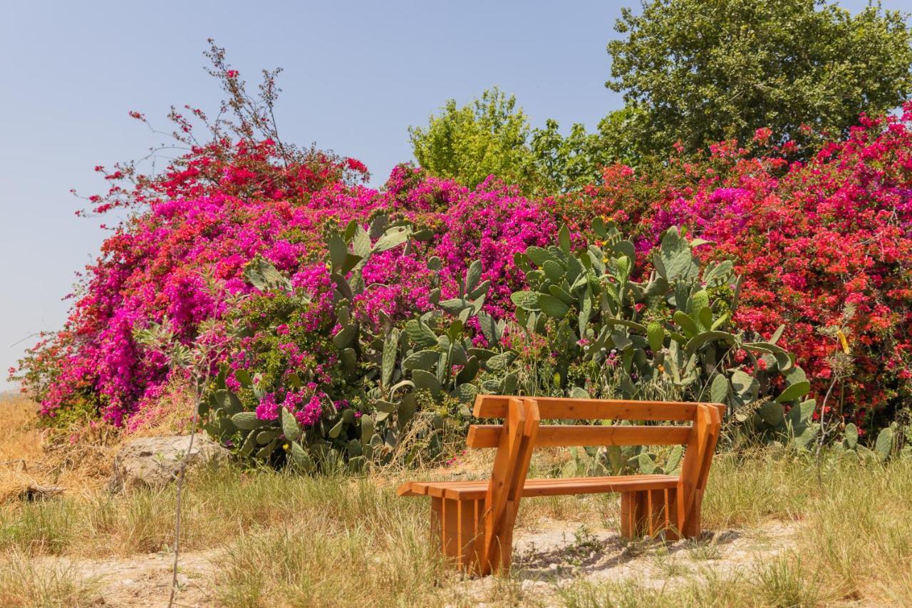 Tal Shahar Zimmers Luaran gambar