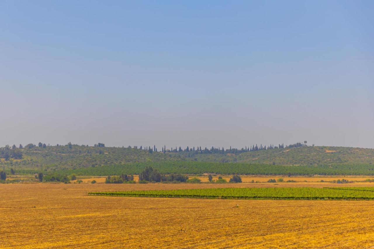 Tal Shahar Zimmers Luaran gambar